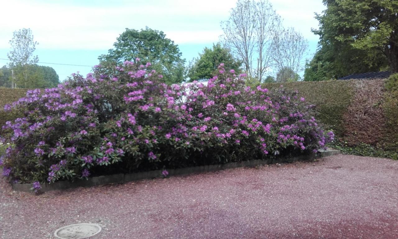 IzéChez Liliアパートメント エクステリア 写真